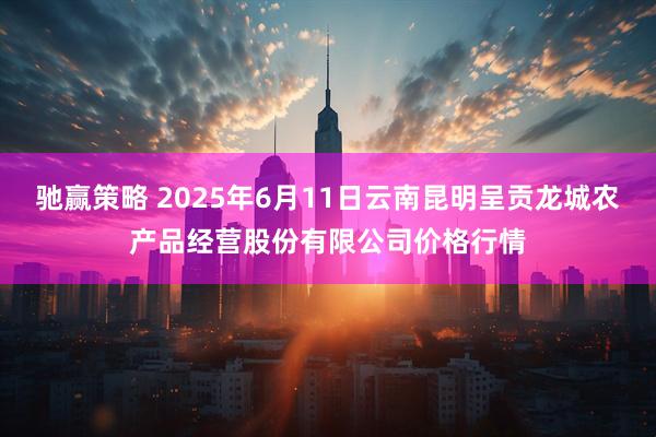 驰赢策略 2025年6月11日云南昆明呈贡龙城农产品经营股份有限公司价格行情