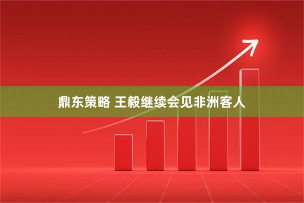鼎东策略 王毅继续会见非洲客人