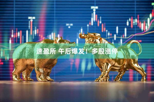 速盈所 午后爆发！多股涨停