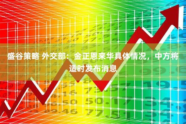 盛谷策略 外交部：金正恩来华具体情况，中方将适时发布消息