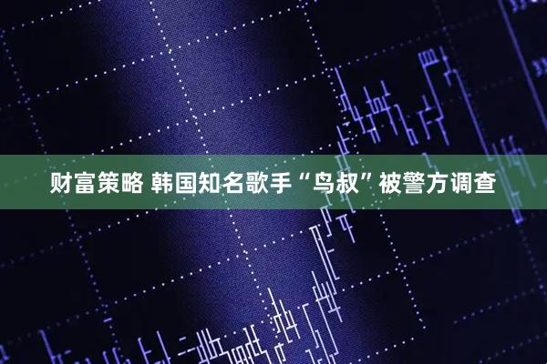 财富策略 韩国知名歌手“鸟叔”被警方调查