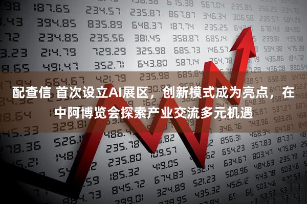 配查信 首次设立AI展区，创新模式成为亮点，在中阿博览会探索产业交流多元机遇