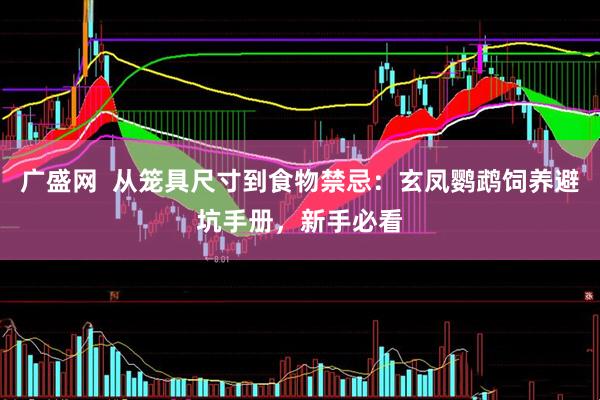 广盛网  从笼具尺寸到食物禁忌：玄凤鹦鹉饲养避坑手册，新手必看