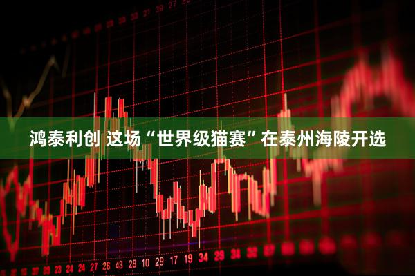鸿泰利创 这场“世界级猫赛”在泰州海陵开选
