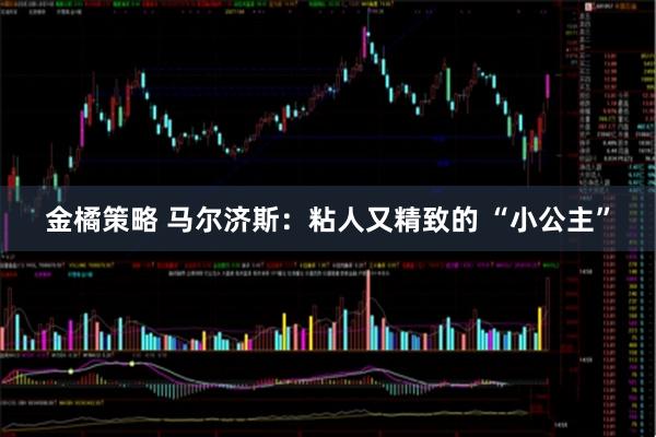 金橘策略 马尔济斯：粘人又精致的 “小公主”