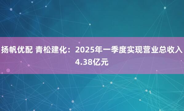 扬帆优配 青松建化：2025年一季度实现营业总收入4.38亿元