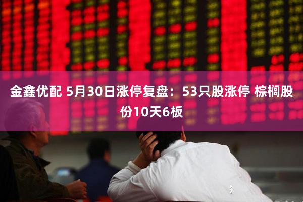 金鑫优配 5月30日涨停复盘：53只股涨停 棕榈股份10天6板