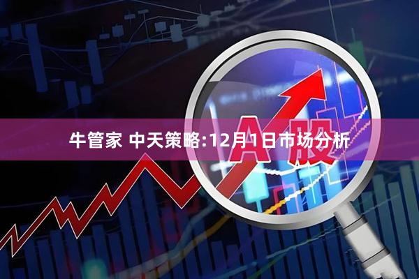 牛管家 中天策略:12月1日市场分析