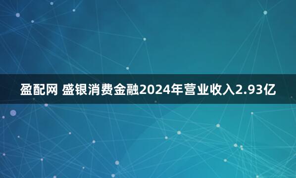 盈配网 盛银消费金融2024年营业收入2.93亿