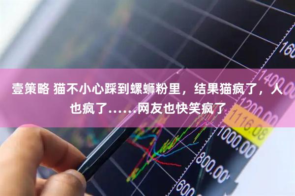 壹策略 猫不小心踩到螺蛳粉里，结果猫疯了，人也疯了……网友也快笑疯了